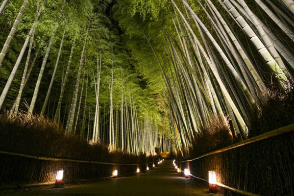 Bamboo Grove Event Planning
